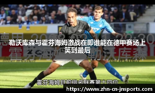勒沃库森与霍芬海姆激战在即谁能在德甲赛场上笑到最后